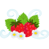 Illustration Animals