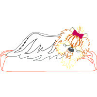 Illustration Animals