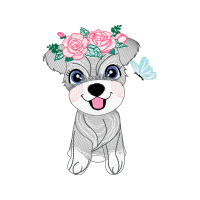 Illustration Animals