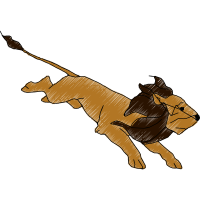 Illustration Animals