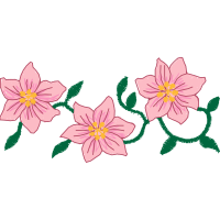 Illustration Animals