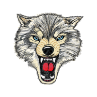 Illustration Animals Illustration Animals