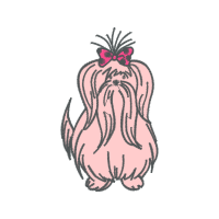 Illustration Animals