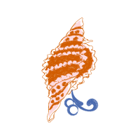 Illustration Animals