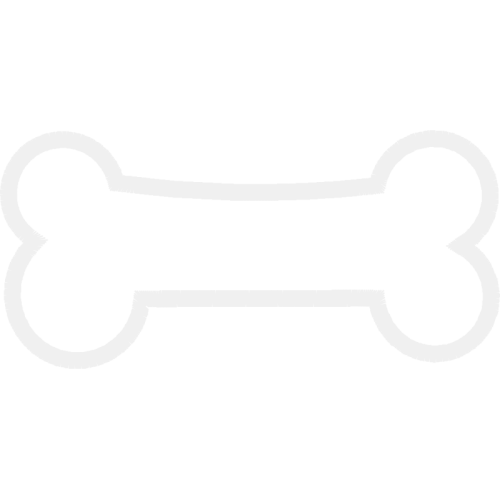 Illustration Animals Illustration Animals