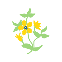 Illustration Animals