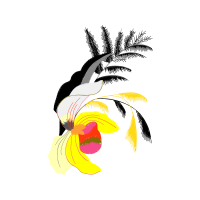 Illustration Animals