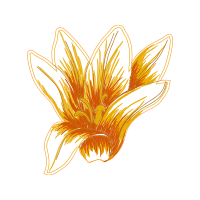 Illustration Animals