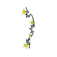 Illustration Animals