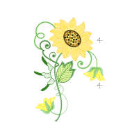 Illustration Animals Illustration Animals