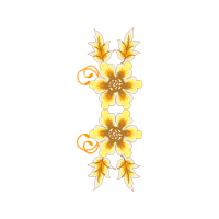 Illustration Animals