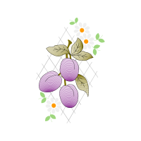 Illustration Animals Illustration Animals