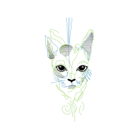 Illustration Animals