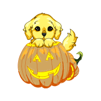 Illustration Animals