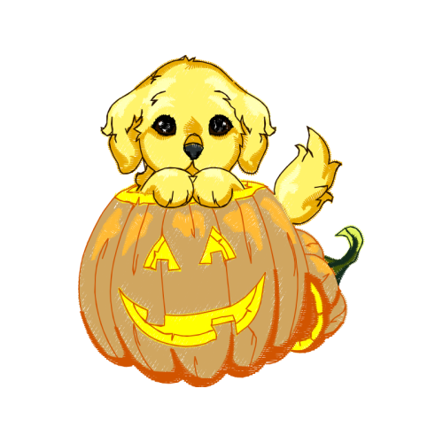 Illustration Animals Illustration Animals