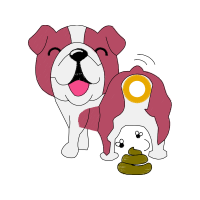 Illustration Animals