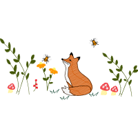 Illustration Animals