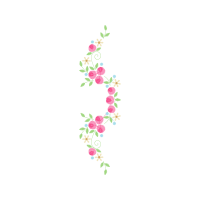 Illustration Animals