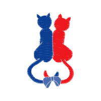 Illustration Animals