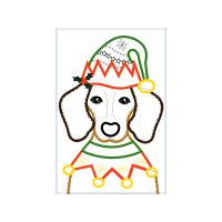 Illustration Animals