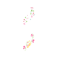 Illustration Animals