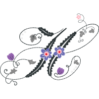 Illustration Animals