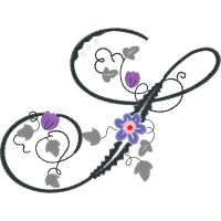 Illustration Animals