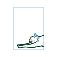 Illustration Animals