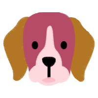 Illustration Animals