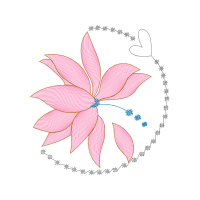 Illustration Animals