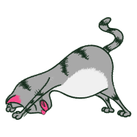 Illustration Animals Illustration Animals