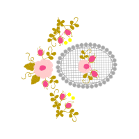 Illustration Animals