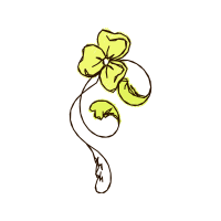 Illustration Animals