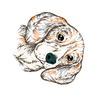 Illustration Animals