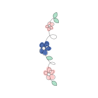 Illustration Animals