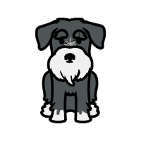 Illustration Animals Illustration Animals