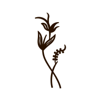 Illustration Animals Illustration Animals