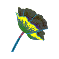 Illustration Animals