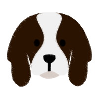 Illustration Animals