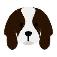 Illustration Animals