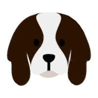 Illustration Animals