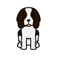 Illustration Animals