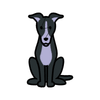 Illustration Animals