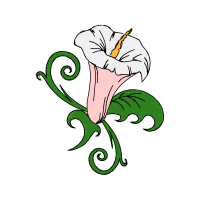 Illustration Animals Illustration Animals