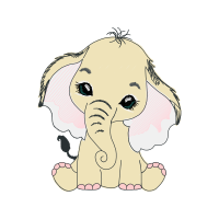 Indian Elephant Animals