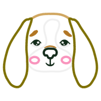 Indian Elephant Animals