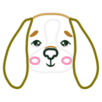 Indian Elephant Animals