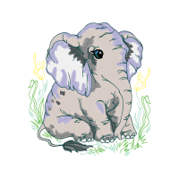 Indian Elephant Animals