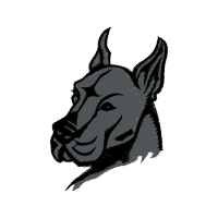 Indian Rhinoceros Animals