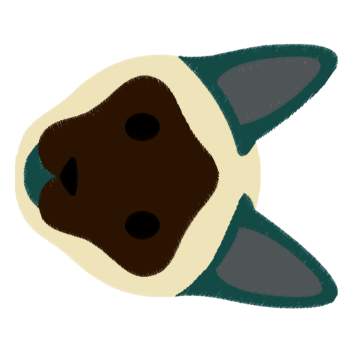 Jack Russell Terrier Animals Jack Russell Terrier Animals